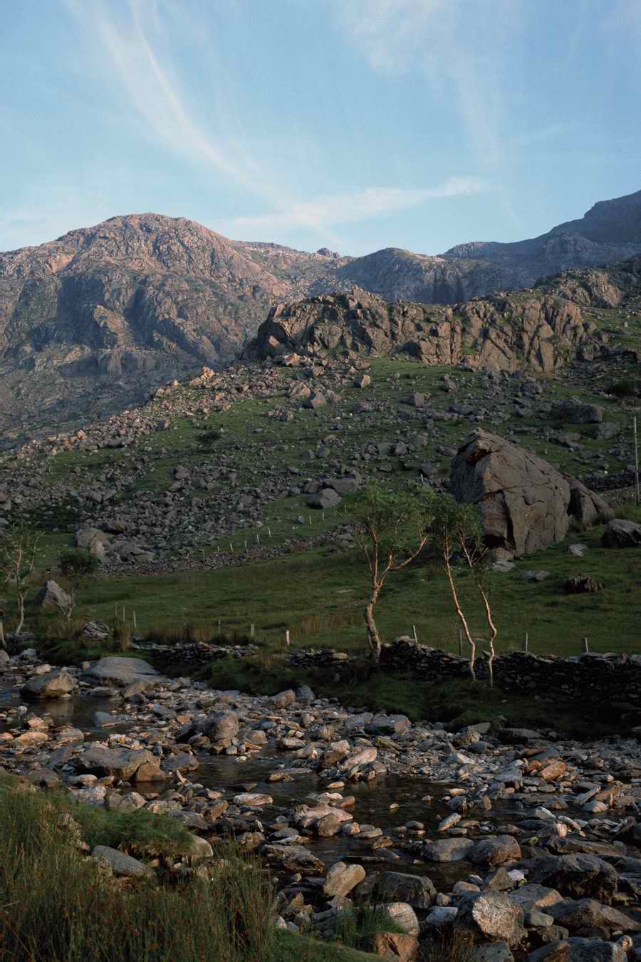 The Poety in the Pastorale - Shibvisi ></a>
<script language=JavaScript> 
  var txt = 