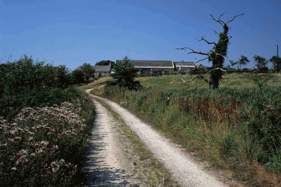 The Poety in the Pastorale - Shibvisi ></a>
<script language=JavaScript> 
  var txt = 