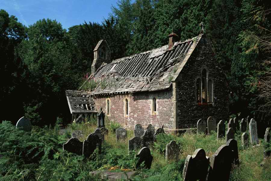 The Poety in the Pastorale - Shibvisi ></a>
<script language=JavaScript> 
  var txt = 