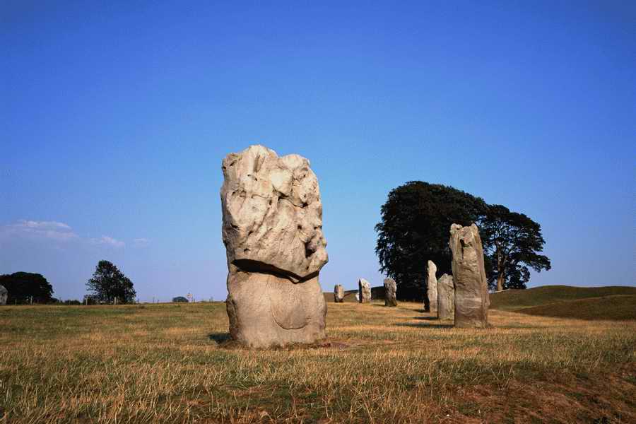 The Poety in the Pastorale - Shibvisi ></a>
<script language=JavaScript> 
  var txt = 