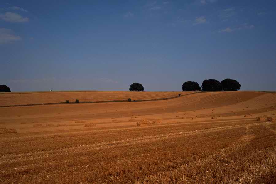 The Poety in the Pastorale - Shibvisi ></a>
<script language=JavaScript> 
  var txt = 