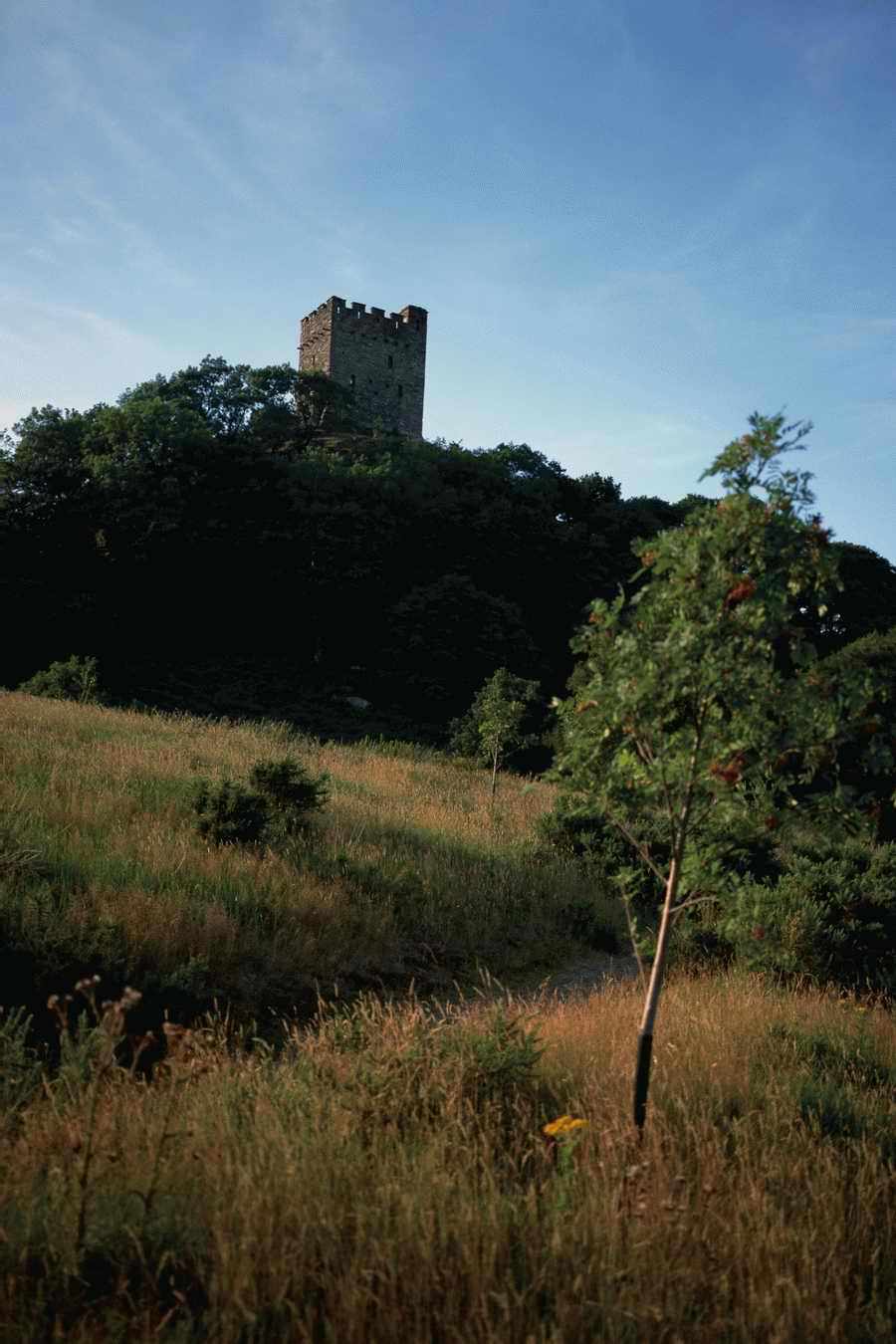 The Poety in the Pastorale - Shibvisi ></a>
<script language=JavaScript> 
  var txt = 