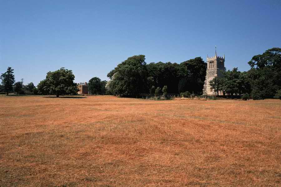 The Poety in the Pastorale - Shibvisi ></a>
<script language=JavaScript> 
  var txt = 