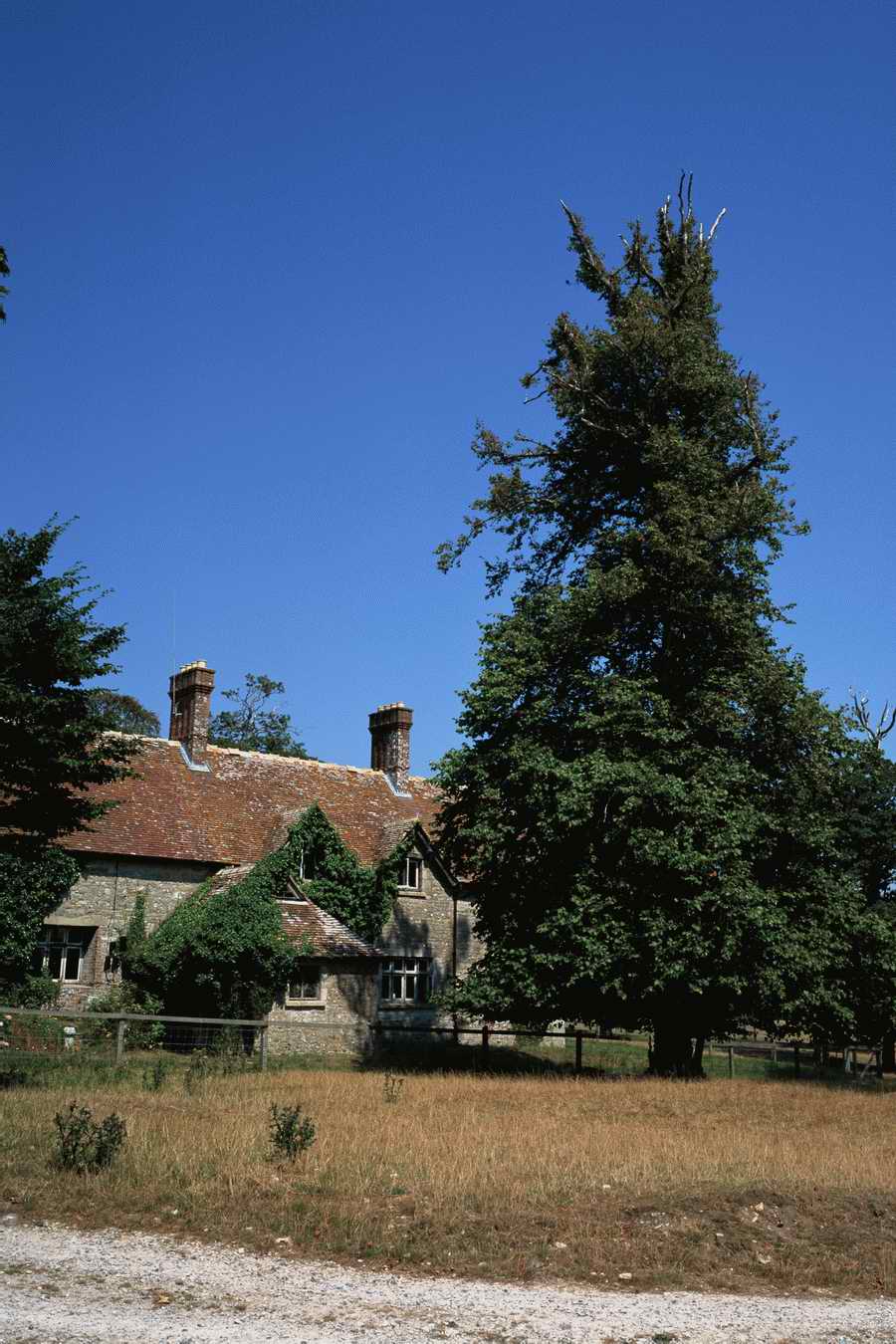 The Poety in the Pastorale - Shibvisi ></a>
<script language=JavaScript> 
  var txt = 