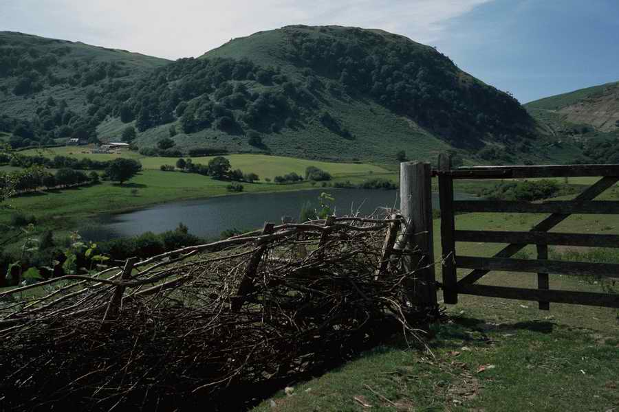 The Poety in the Pastorale - Shibvisi ></a>
<script language=JavaScript> 
  var txt = 