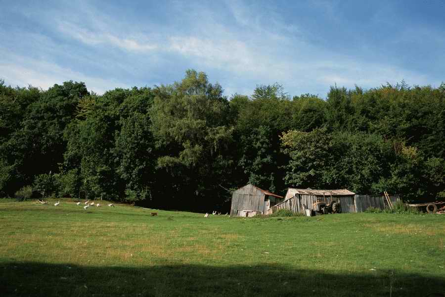 The Poety in the Pastorale - Shibvisi ></a>
<script language=JavaScript> 
  var txt = 