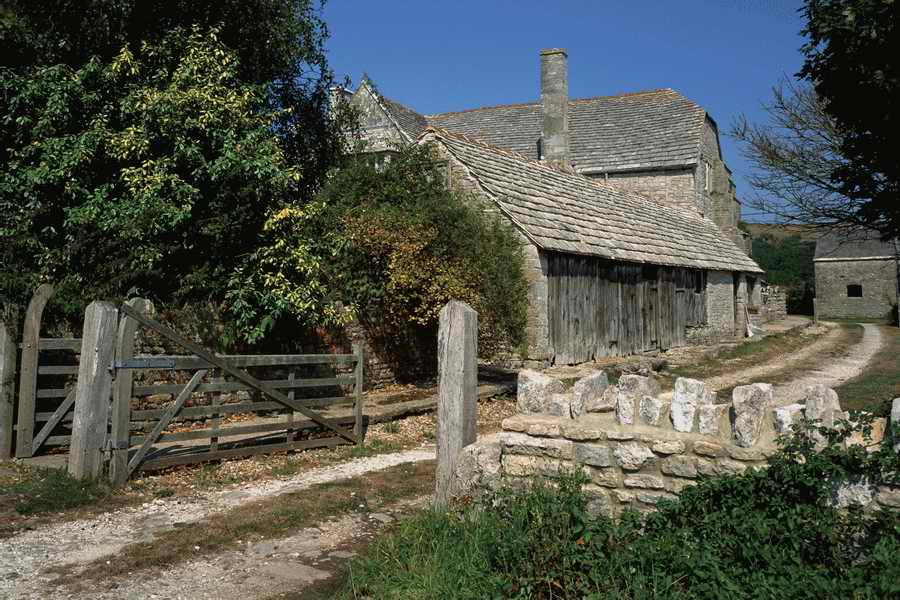 The Poety in the Pastorale - Shibvisi ></a>
<script language=JavaScript> 
  var txt = 