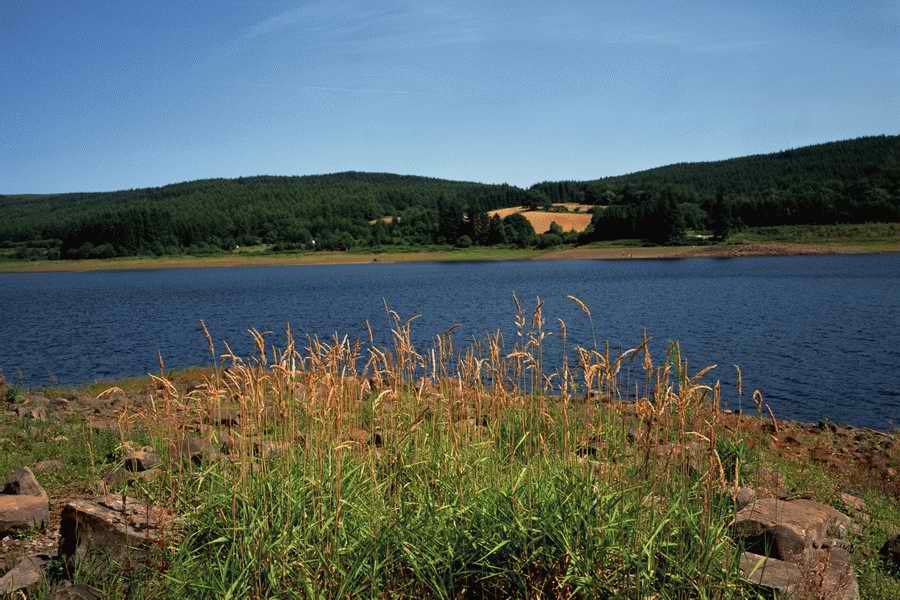 The Poety in the Pastorale - Shibvisi ></a>
<script language=JavaScript> 
  var txt = 