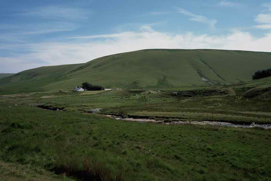 The Poety in the Pastorale - Shibvisi ></a>
<script language=JavaScript> 
  var txt = 