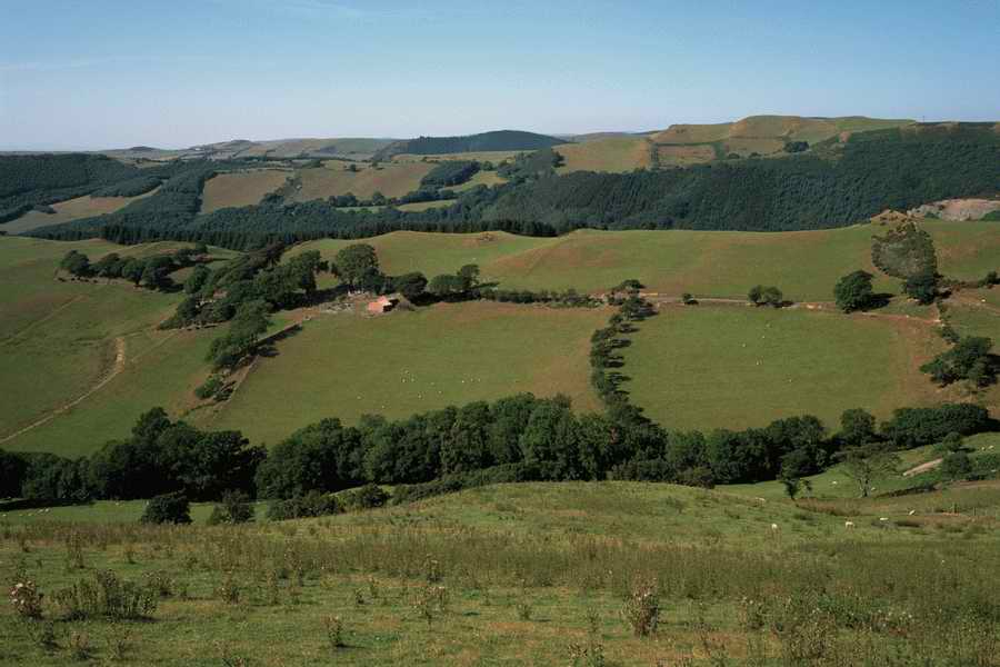 The Poety in the Pastorale - Shibvisi ></a>
<script language=JavaScript> 
  var txt = 