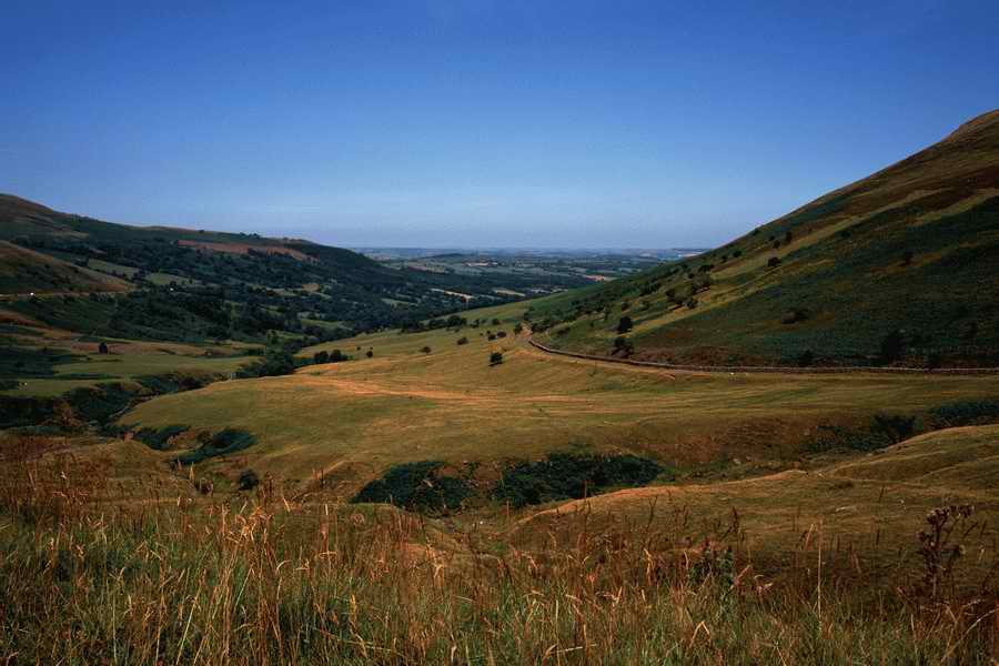 The Poety in the Pastorale - Shibvisi ></a>
<script language=JavaScript> 
  var txt = 