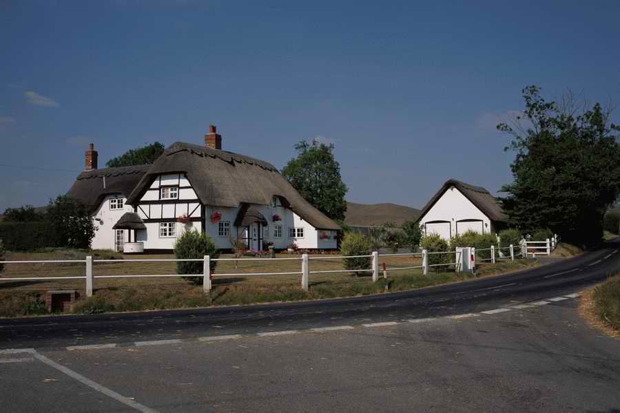 The Poety in the Pastorale - Shibvisi ></a>
<script language=JavaScript> 
  var txt = 