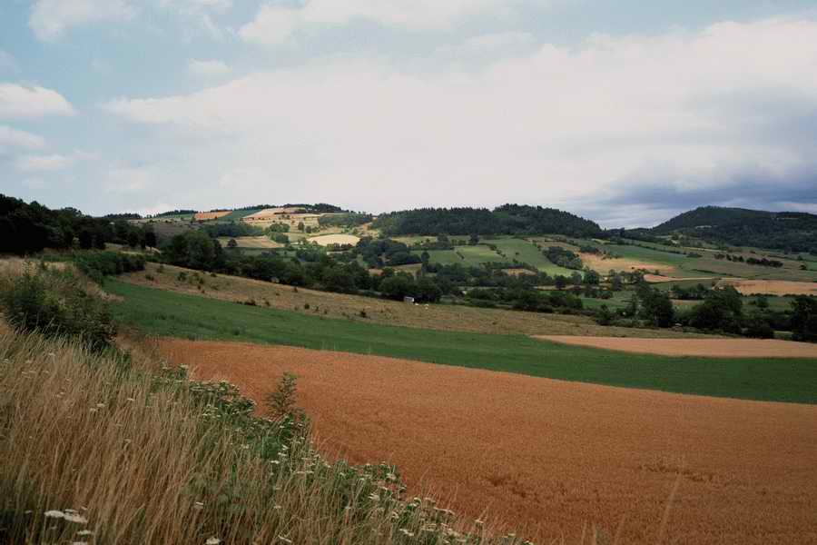 The Poety in the Pastorale - Shibvisi ></a>
<script language=JavaScript> 
  var txt = 
