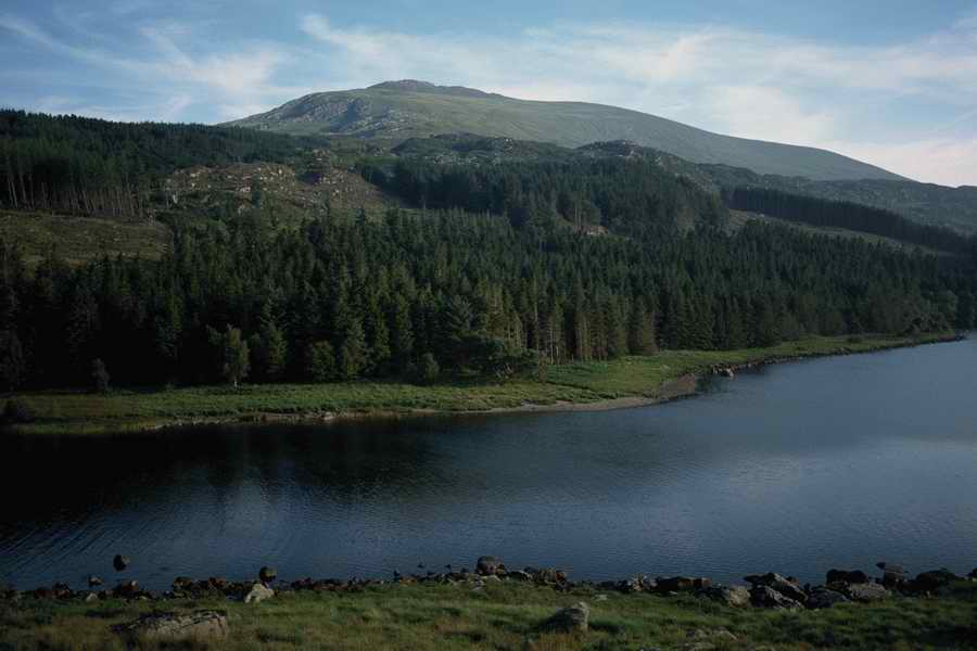 The Poety in the Pastorale - Shibvisi ></a>
<script language=JavaScript> 
  var txt = 