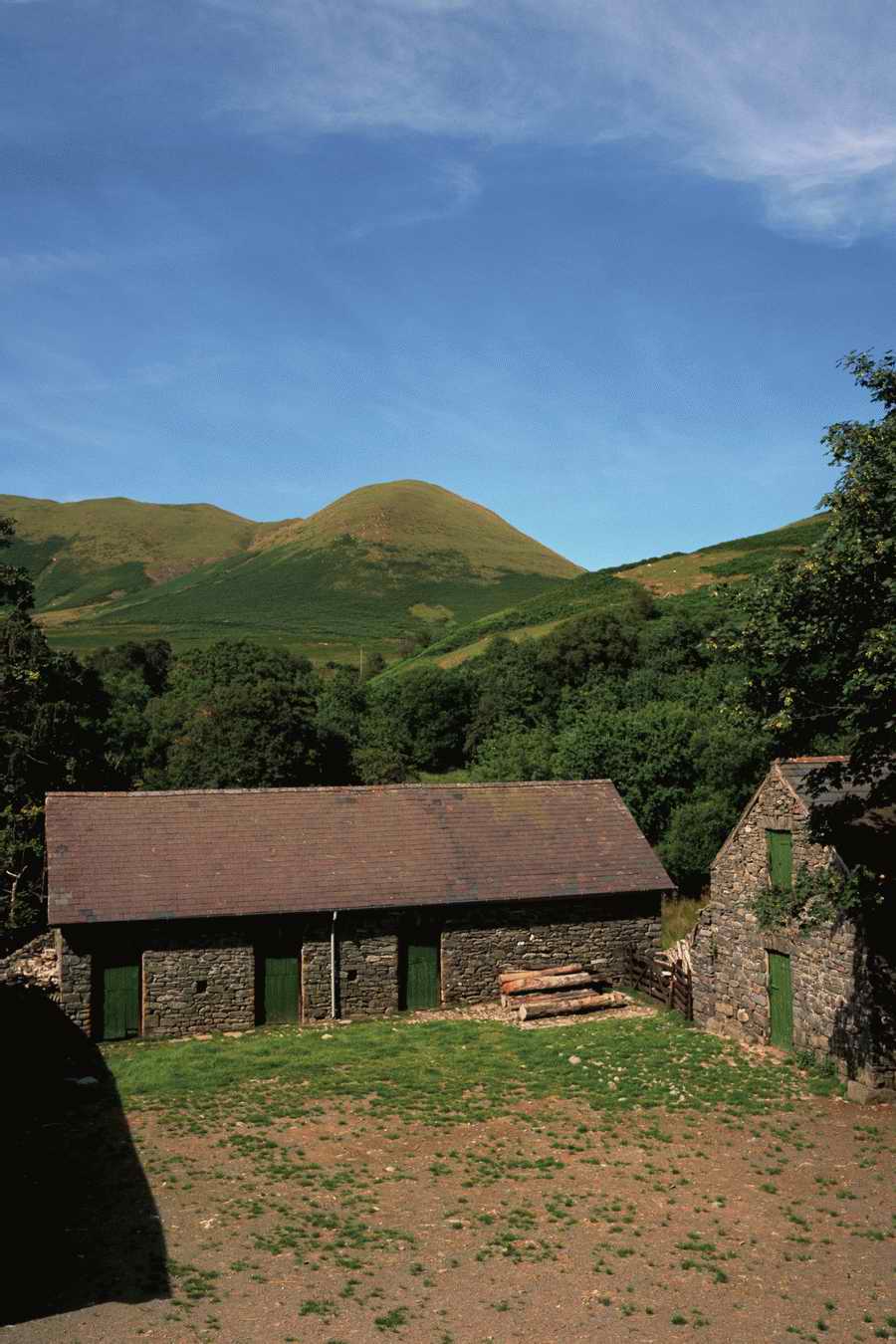 The Poety in the Pastorale - Shibvisi ></a>
<script language=JavaScript> 
  var txt = 