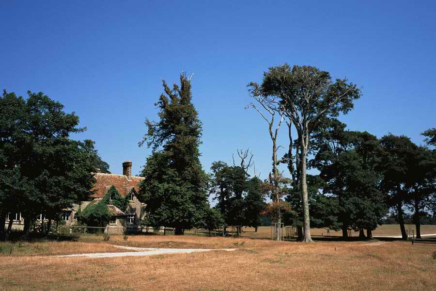 The Poety in the Pastorale - Shibvisi ></a>
<script language=JavaScript> 
  var txt = 