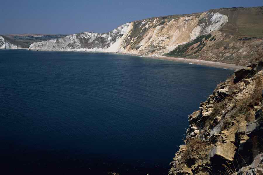 The Poety in the Pastorale - Shibvisi ></a>
<script language=JavaScript> 
  var txt = 