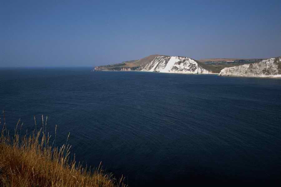 The Poety in the Pastorale - Shibvisi ></a>
<script language=JavaScript> 
  var txt = 