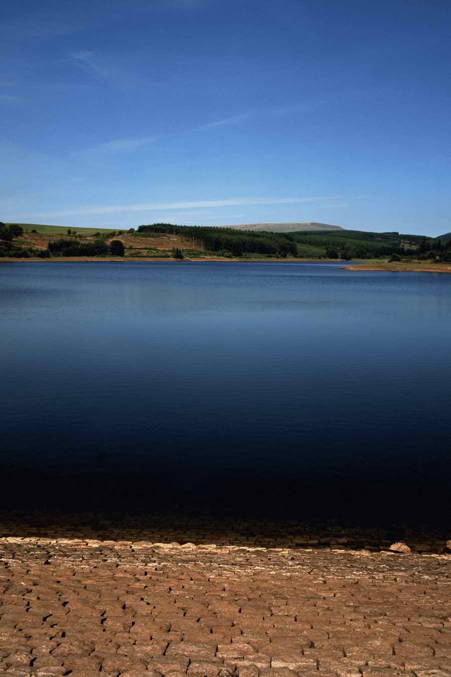 The Poety in the Pastorale - Shibvisi ></a>
<script language=JavaScript> 
  var txt = 