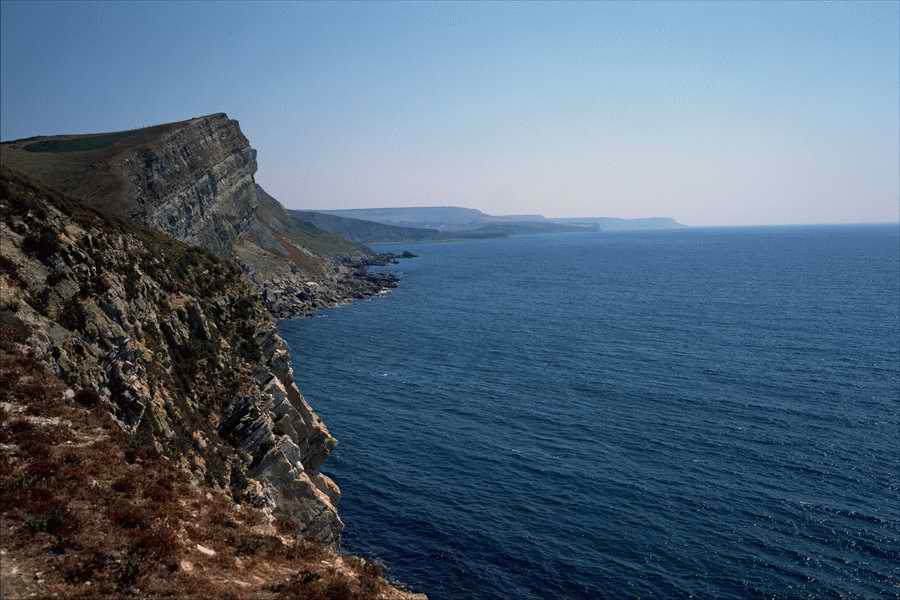 The Poety in the Pastorale - Shibvisi ></a>
<script language=JavaScript> 
  var txt = 