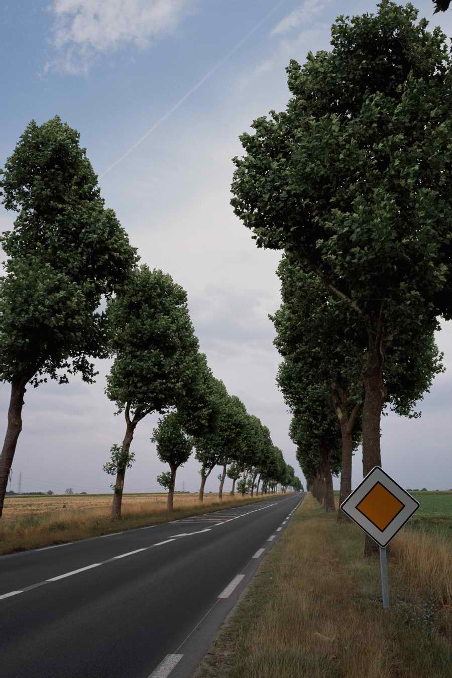 The Poety in the Pastorale - Shibvisi ></a>
<script language=JavaScript> 
  var txt = 