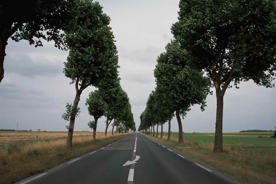 The Poety in the Pastorale - Shibvisi ></a>
<script language=JavaScript> 
  var txt = 