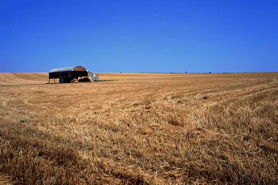 The Poety in the Pastorale - Shibvisi ></a>
<script language=JavaScript> 
  var txt = 