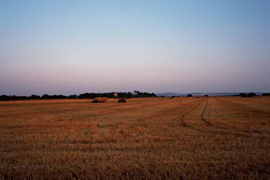 The Poety in the Pastorale - Shibvisi ></a>
<script language=JavaScript> 
  var txt = 