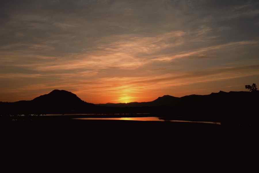 The Poety in the Pastorale - Shibvisi ></a>
<script language=JavaScript> 
  var txt = 