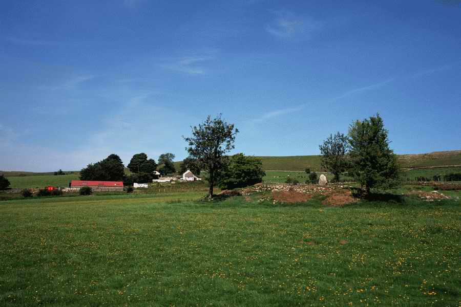 The Poety in the Pastorale - Shibvisi ></a>
<script language=JavaScript> 
  var txt = 