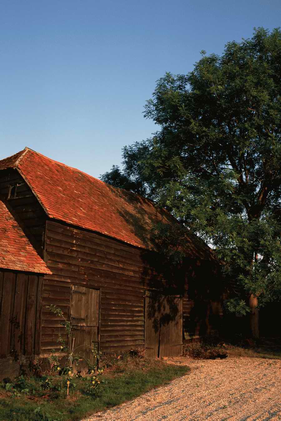 The Poety in the Pastorale - Shibvisi ></a>
<script language=JavaScript> 
  var txt = 