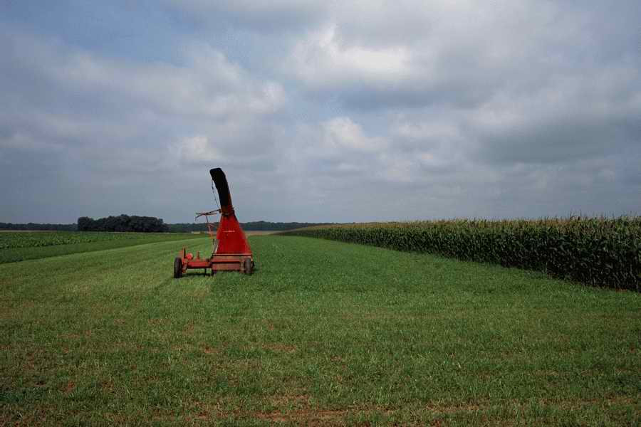 The Poety in the Pastorale - Shibvisi ></a>
<script language=JavaScript> 
  var txt = 