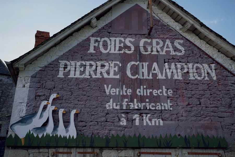 The Poety in the Pastorale - Shibvisi ></a>
<script language=JavaScript> 
  var txt = 