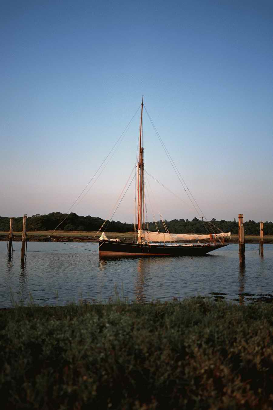 The Poety in the Pastorale - Shibvisi ></a>
<script language=JavaScript> 
  var txt = 