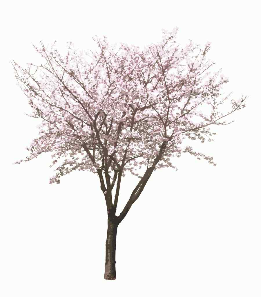 Trees and Shrubs 2 - TenkeiKoubou ></a>
<script language=JavaScript> 
  var txt = 
