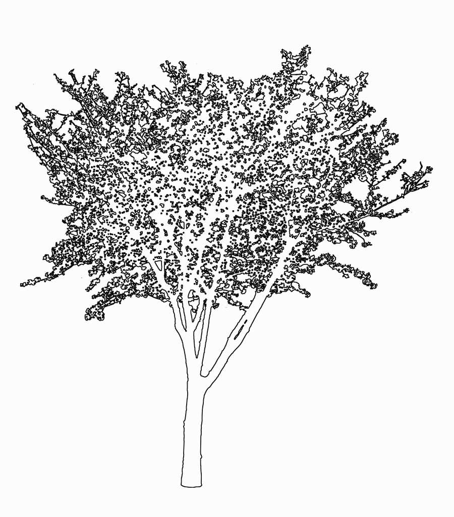 Trees and Shrubs 2 - TenkeiKoubou ></a>
<script language=JavaScript> 
  var txt = 