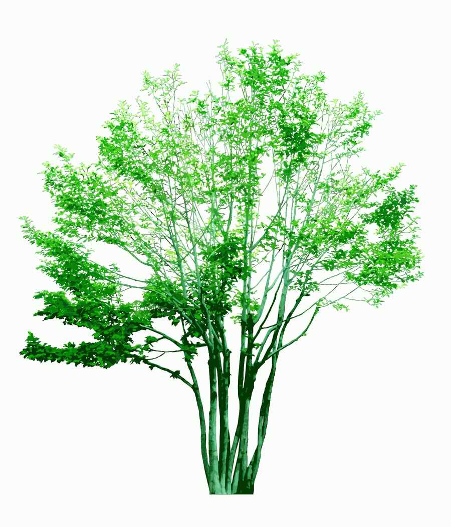 Trees and Shrubs 2 - TenkeiKoubou ></a>
<script language=JavaScript> 
  var txt = 