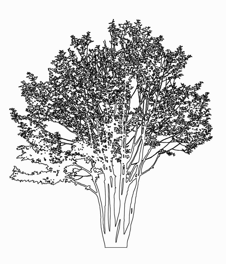 Trees and Shrubs 2 - TenkeiKoubou ></a>
<script language=JavaScript> 
  var txt = 