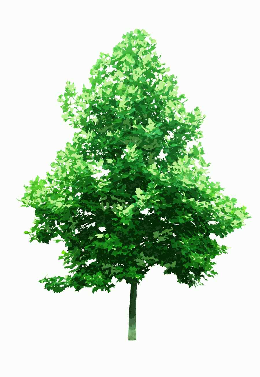 Trees and Shrubs 2 - TenkeiKoubou ></a>
<script language=JavaScript> 
  var txt = 