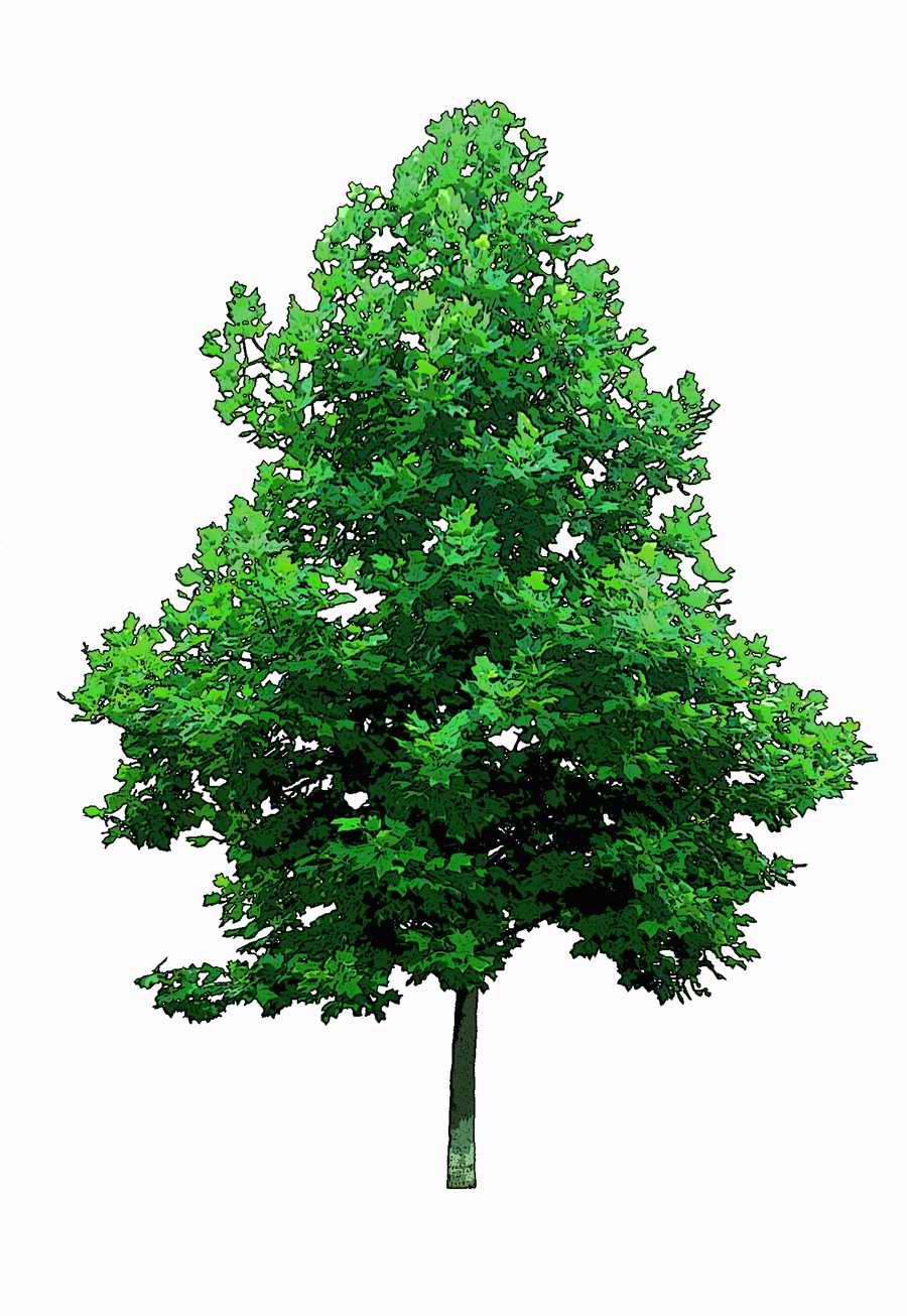 Trees and Shrubs 2 - TenkeiKoubou ></a>
<script language=JavaScript> 
  var txt = 