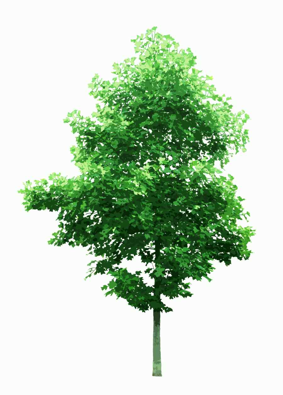 Trees and Shrubs 2 - TenkeiKoubou ></a>
<script language=JavaScript> 
  var txt = 