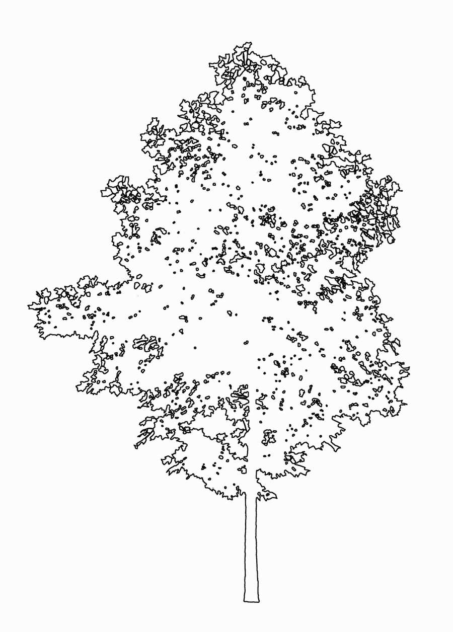 Trees and Shrubs 2 - TenkeiKoubou ></a>
<script language=JavaScript> 
  var txt = 