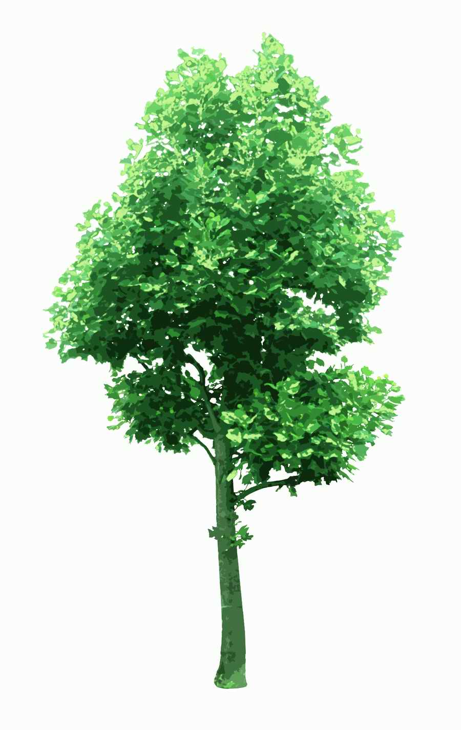 Trees and Shrubs 2 - TenkeiKoubou ></a>
<script language=JavaScript> 
  var txt = 