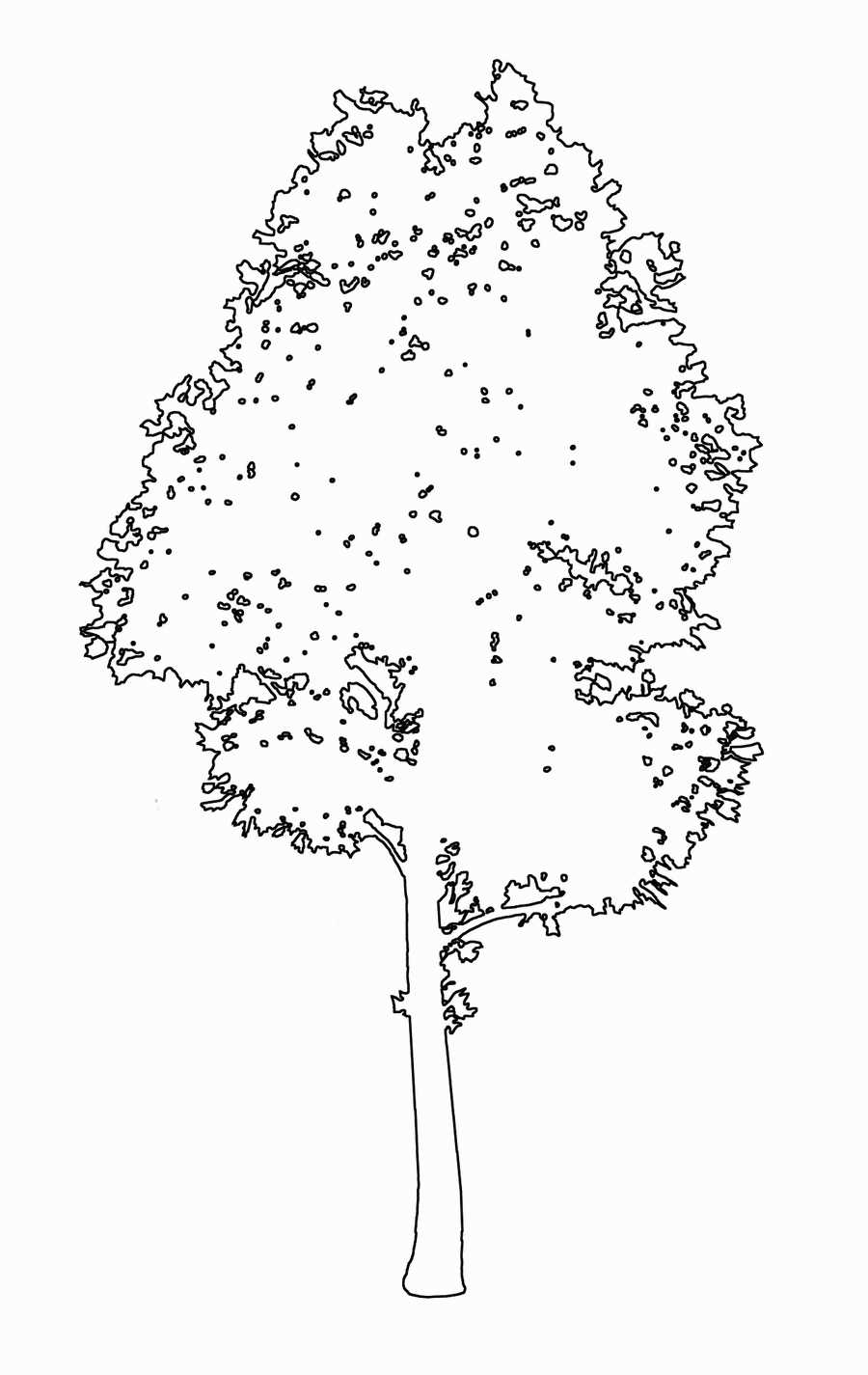 Trees and Shrubs 2 - TenkeiKoubou ></a>
<script language=JavaScript> 
  var txt = 