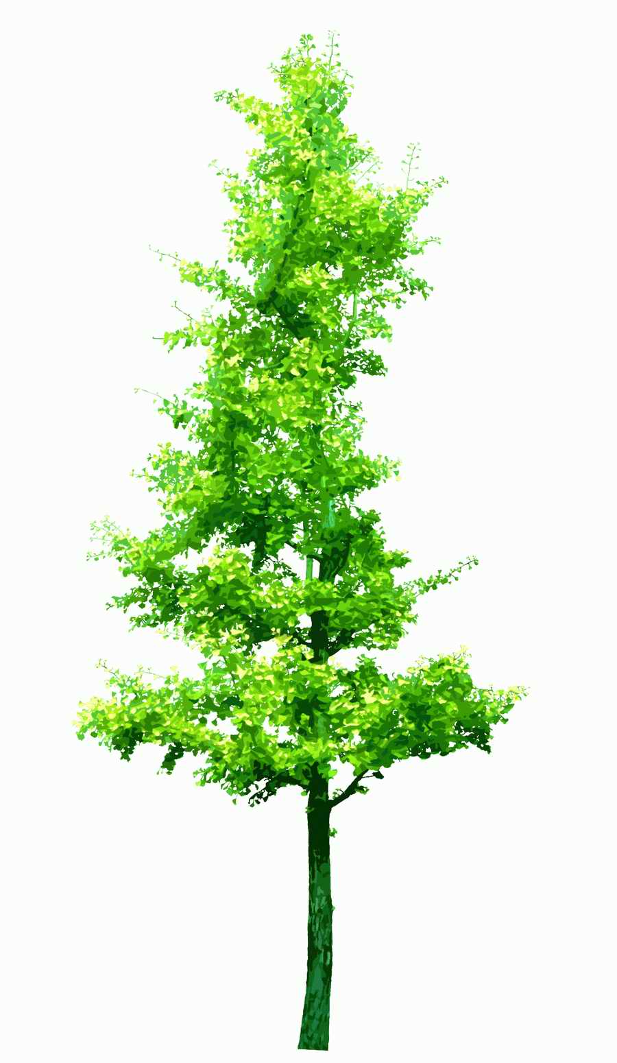 Trees and Shrubs 2 - TenkeiKoubou ></a>
<script language=JavaScript> 
  var txt = 