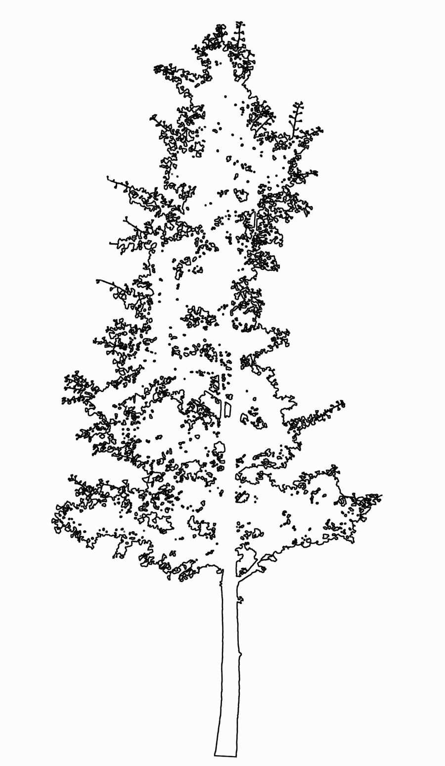Trees and Shrubs 2 - TenkeiKoubou ></a>
<script language=JavaScript> 
  var txt = 