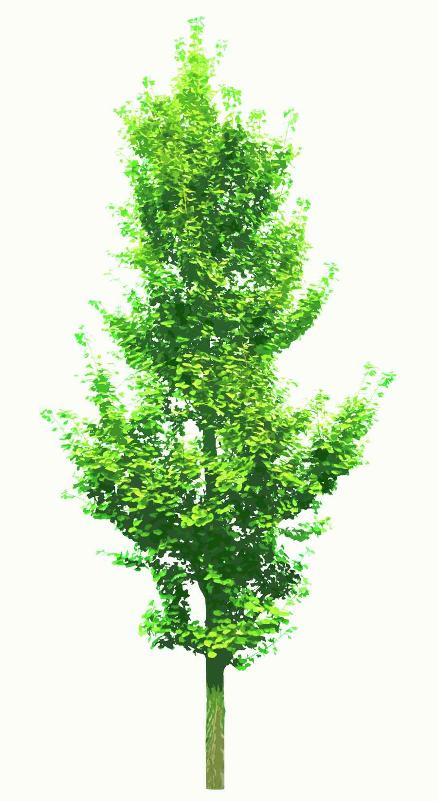 Trees and Shrubs 2 - TenkeiKoubou ></a>
<script language=JavaScript> 
  var txt = 