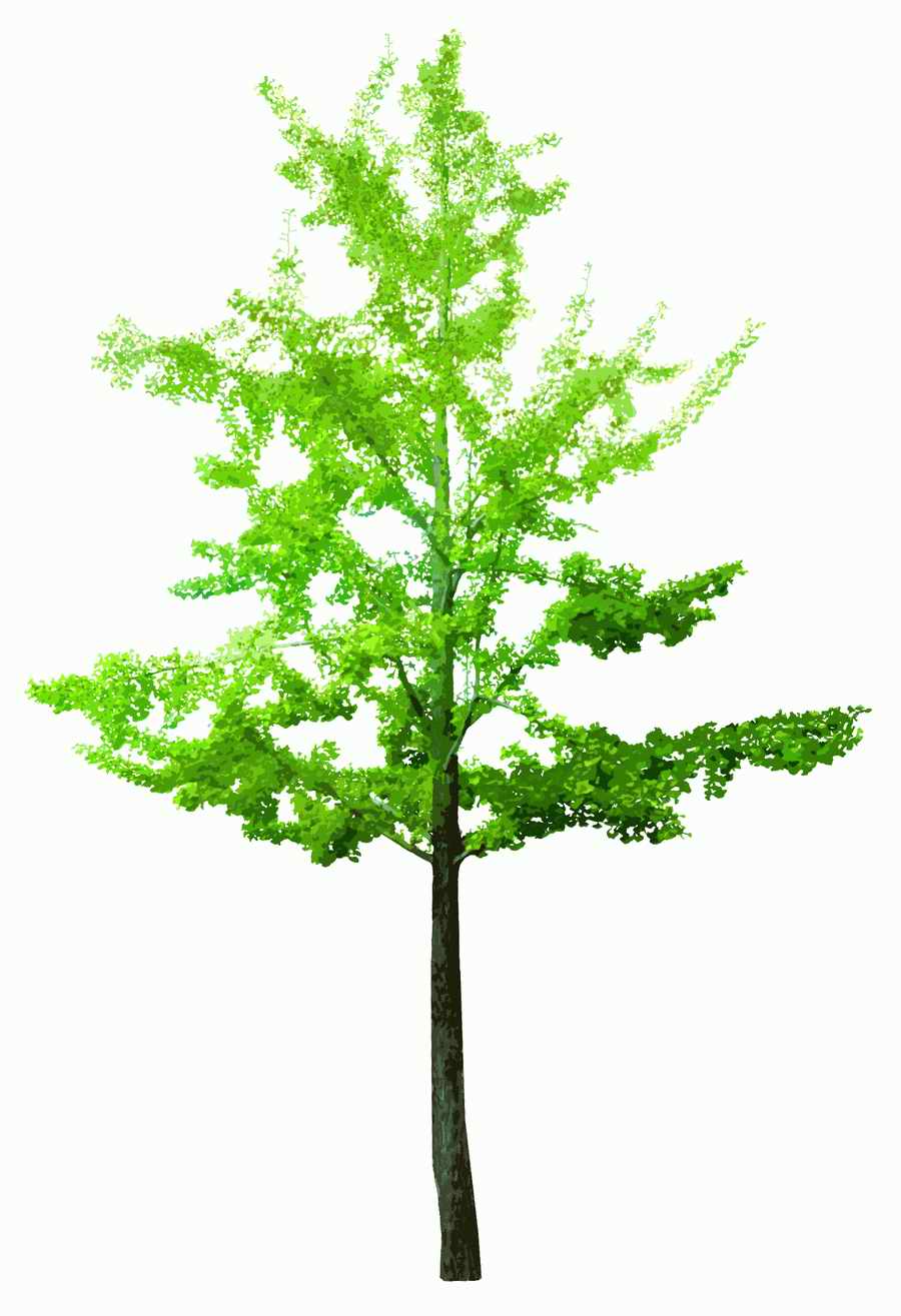 Trees and Shrubs 2 - TenkeiKoubou ></a>
<script language=JavaScript> 
  var txt = 