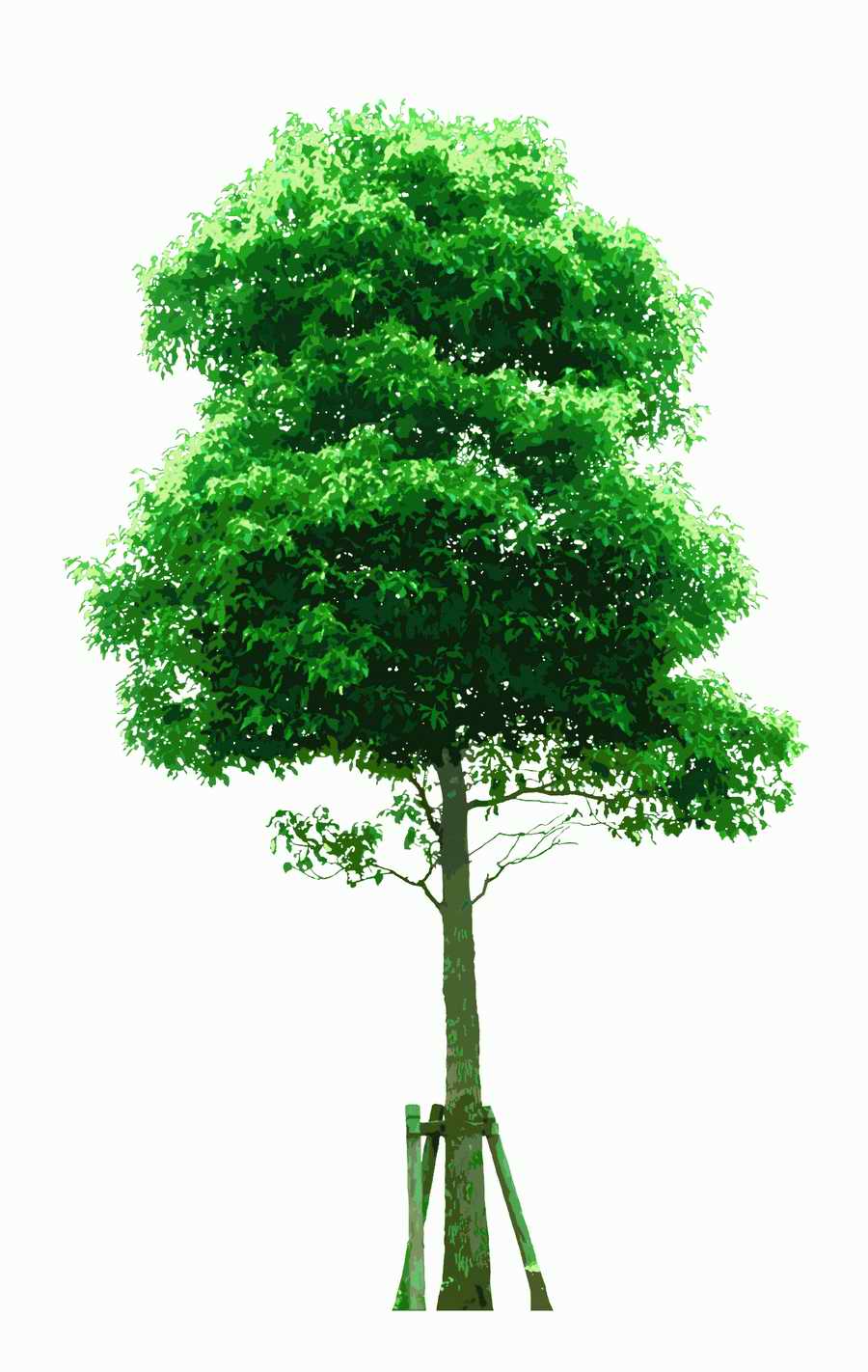 Trees and Shrubs 2 - TenkeiKoubou ></a>
<script language=JavaScript> 
  var txt = 