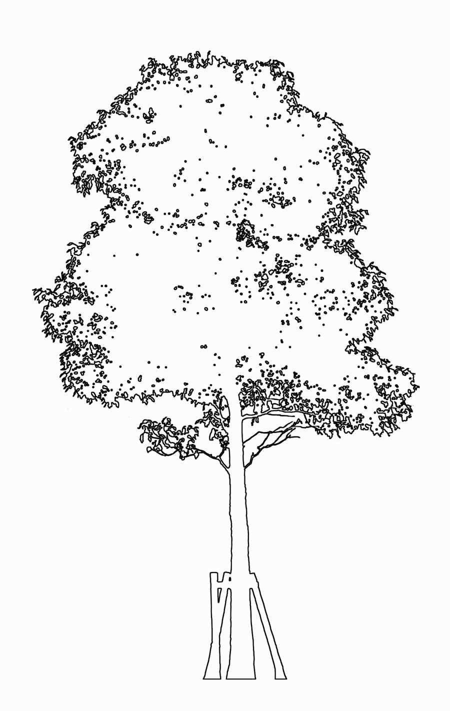 Trees and Shrubs 2 - TenkeiKoubou ></a>
<script language=JavaScript> 
  var txt = 